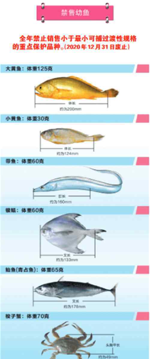 最新2017年休漁期政策 關(guān)于2017年浙江省海洋禁漁休漁的通告