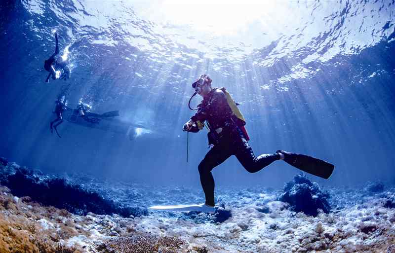 海狼魚 溫州小伙酷愛潛水 5年去了50多國海域探索海底世界