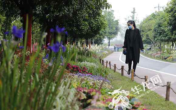 蘭色花園 “ 100種藍(lán)”能治愈你嗎？熊婆婆的花園將辦大型主題花展