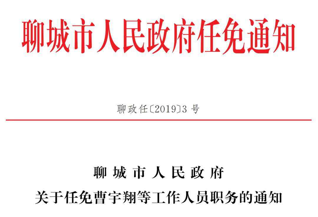 聊城市人民政府 聊城市人民政府任免通知?。?！