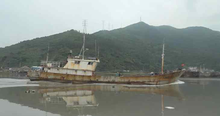 中華錦繡龍蝦 溫州龍港一漁民捕獲一只七斤八兩重中華錦繡龍蝦