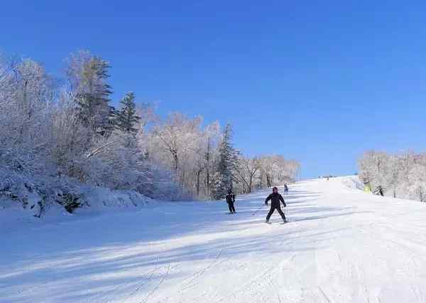 冬季滑雪旅游 冬天就該去滑雪，國內(nèi)八大滑雪圣地完全攻略！