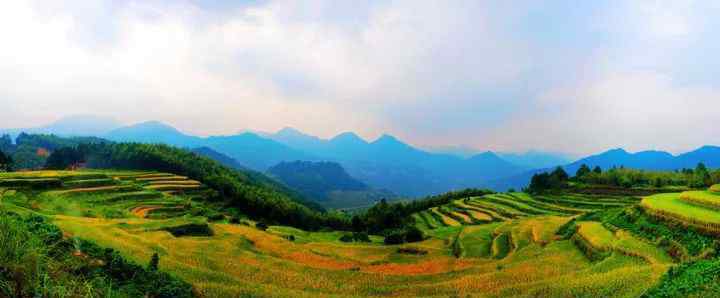 楊梅小鎮(zhèn)門票 再等三天 溫州各大景區(qū)門票全部免費(fèi)、半價(jià)開放