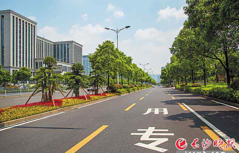 萬向公園 長沙金星路“六位一體”提質(zhì)改造全面完工 帶動(dòng)沿線業(yè)態(tài)升級(jí)