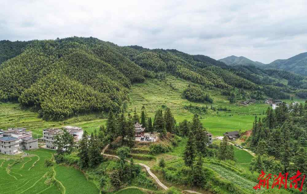 賀炳炎 再走長(zhǎng)征路丨袁均尾：父親親眼看賀炳炎無(wú)麻醉壯士斷臂