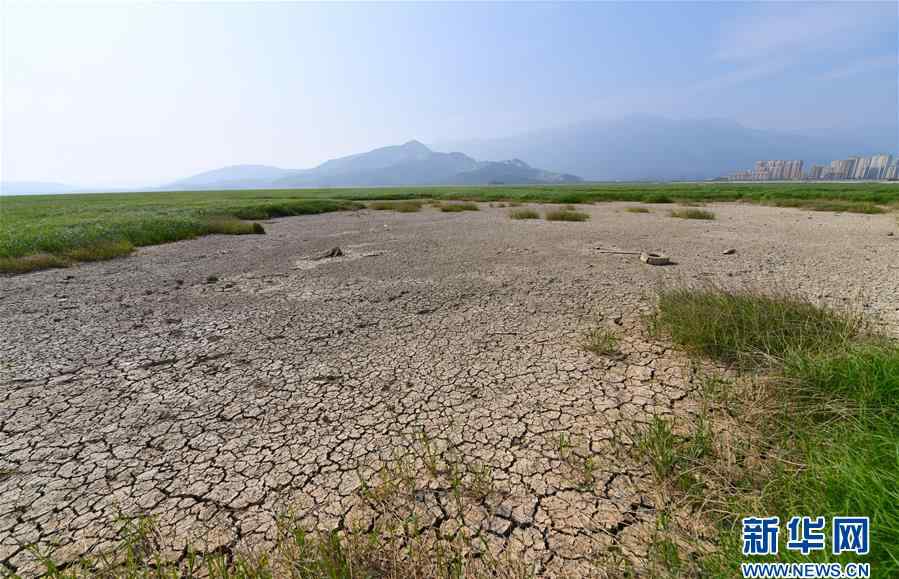 鄱陽湖大旱 鄱陽湖遭遇大旱 千年落星墩完全顯現(xiàn)