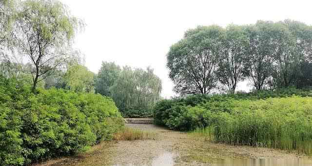 琉璃廟濕地公園 北京最值得去的10個(gè)濕地公園，環(huán)境舒適景色美