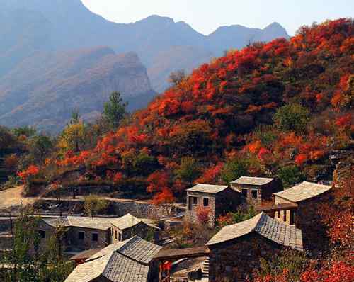 幽嵐山 坡峰嶺紅葉 北京幽嵐山秋天的勛章