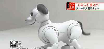 aibo 3E·北京消費(fèi)電子展：索尼aibo機(jī)器狗強(qiáng)勢(shì)登陸中國(guó),今日起正式開(kāi)售!