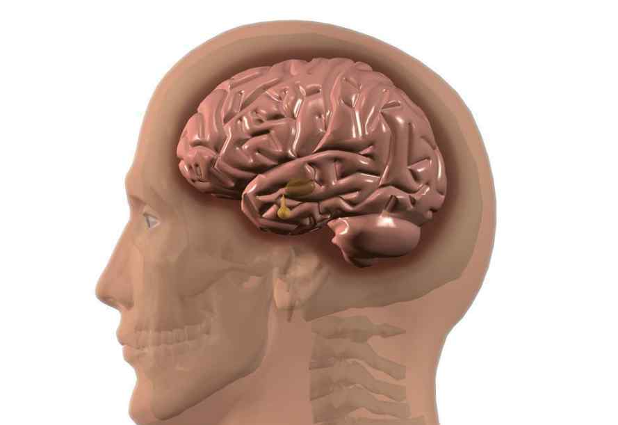 為什么會鬼壓床 為什么有的人會經(jīng)歷鬼壓床？最新的科學解釋來了