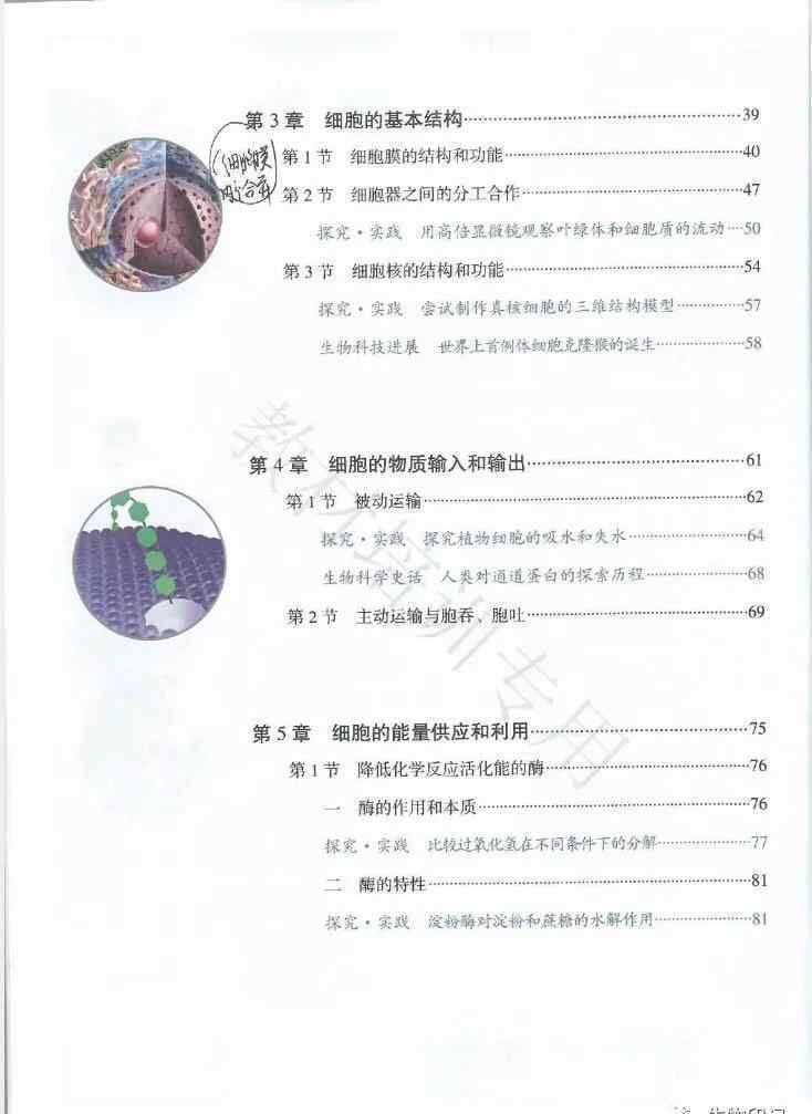 高中生物必修一電子書 2019秋新人教版高中生物必修一（分子與細(xì)胞）電子課本