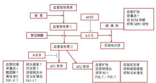 血管緊張素2受體拮抗劑 什么是血管緊張素Ⅱ受體拮抗劑、作用機(jī)制和特點(diǎn)、如何選擇使用