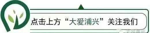 上海浦東招生辦 浦東新區(qū)招生辦公室關(guān)于2020年本區(qū)義務(wù)教育階段學(xué)校招生入學(xué)的操作細(xì)則