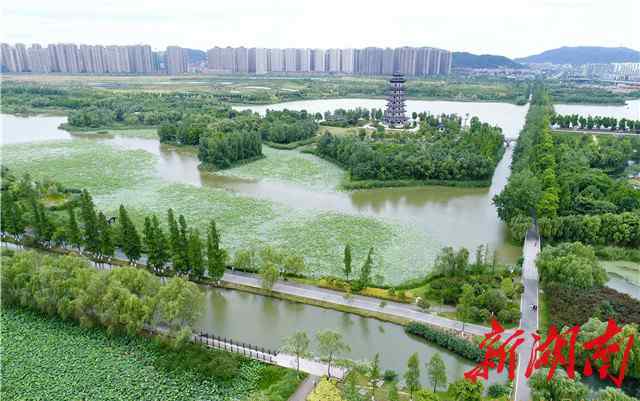 洋湖濕地公園 喜大普奔！長(zhǎng)沙洋湖濕地晉升國(guó)家級(jí)濕地公園