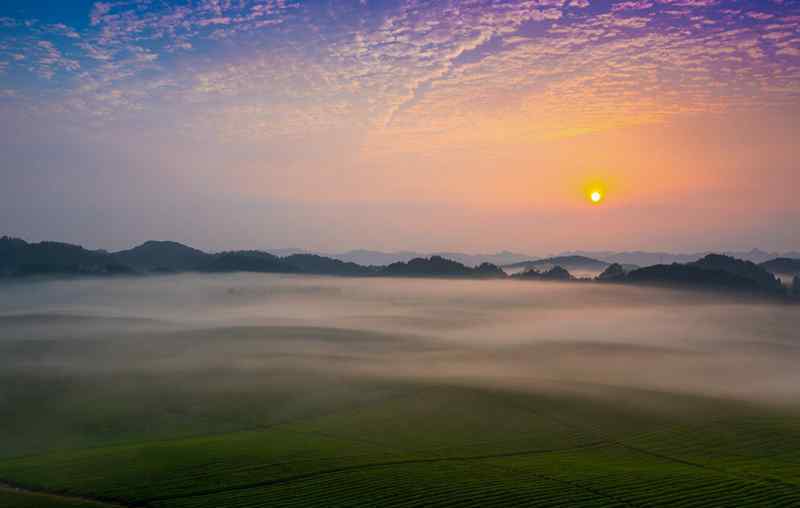 上海金橋國(guó)際茶城 去“中國(guó)茶?！变靥缎蓍e嗎？那里也有湄江和桃花江