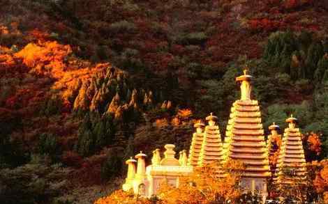 北京香山一日游攻略 北京周末旅游好去處  北京香山旅游全攻略