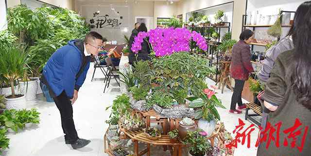 懷化鮮花 “花空間”：99元包月，每周一束鮮花定時送上門