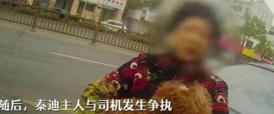 狗狗未拴繩過馬路被撞死主人全責(zé) 具體是什么情況