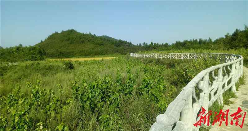 片山陽加 一顆冉冉升起的邊城旅游明珠——太陽山景區(qū)