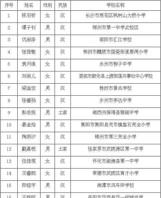 全國優(yōu)秀少先隊員 湖南省2020年度“全國優(yōu)秀少先隊員”“全國優(yōu)秀少先隊輔導員”“全國優(yōu)秀少先隊集體”候選人（集體）公示