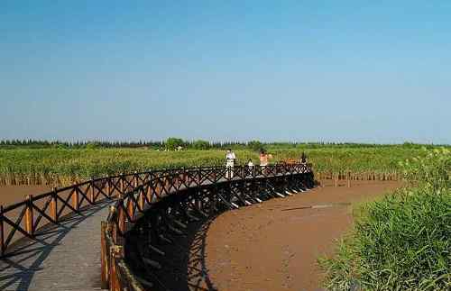 崇明島一日游團(tuán)購 上海崇明最全旅游攻略 美食美景不可辜負(fù)