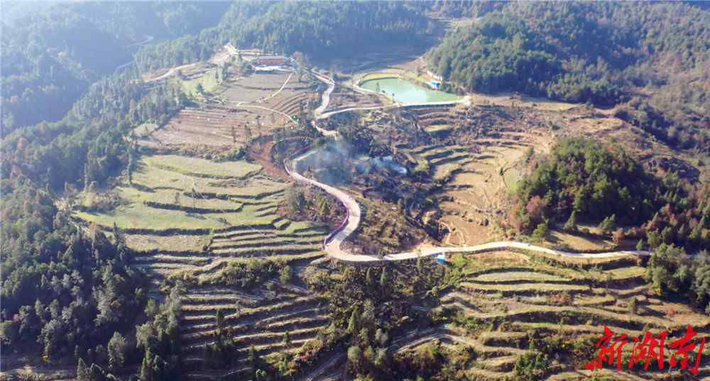 湖南省花垣縣 花垣這個5000畝茶園將變成生態(tài)休閑觀光體驗園！