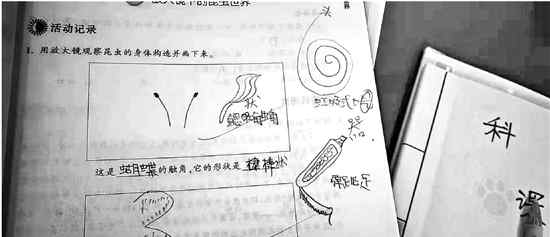 改錯(cuò)別字 批作業(yè)時(shí)愛(ài)改錯(cuò)別字的科學(xué)老師  遭學(xué)生“懟”了