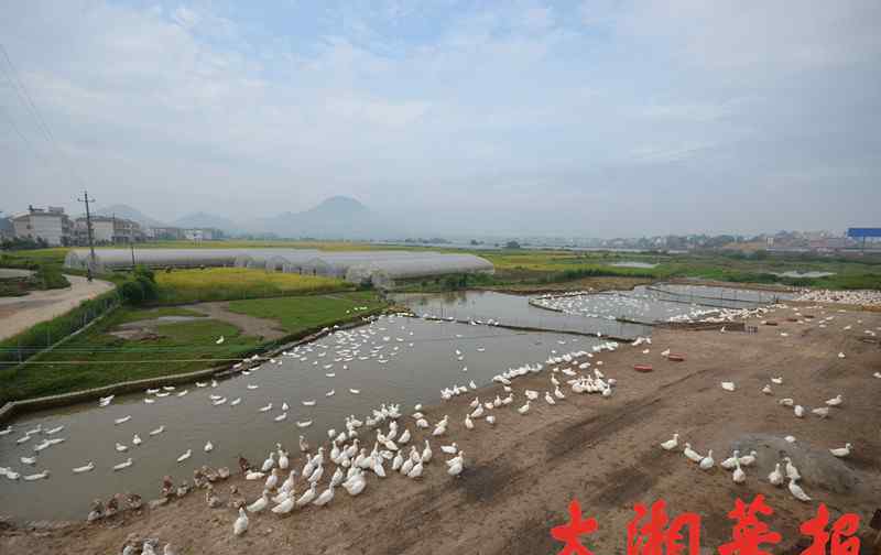 冷水江特色小吃 那些年我們吃過的武岡美食