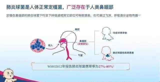 23價肺炎和13價肺炎區(qū)別 13價肺炎疫苗和23價肺炎疫苗有什么區(qū)別