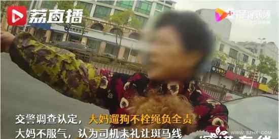 狗狗未拴繩過馬路被撞死主人全責(zé) 交警的理由是什么