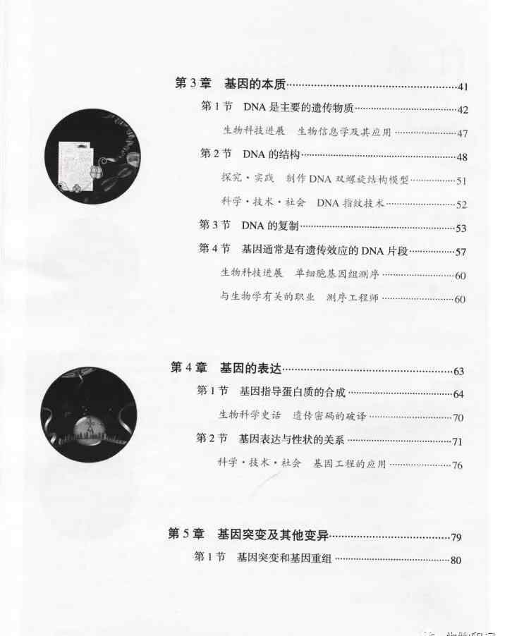 人教版生物必修二 2019秋新人教版高中生物必修二（遺傳與進(jìn)化）電子課本