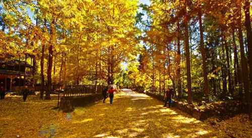 十月一去哪旅游好 10月適合去哪里旅游？ 中國(guó)6大最美秋色