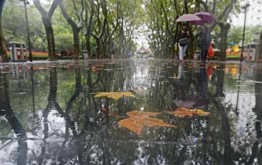 上海氣象臺天氣預(yù)報 上海周末天氣預(yù)報 暴雨來襲氣溫下降