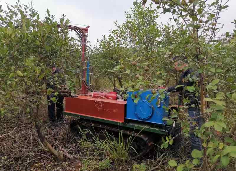 油茶采摘機(jī) 全國首臺油茶果采摘機(jī)問世，將改寫人工采摘?dú)v史