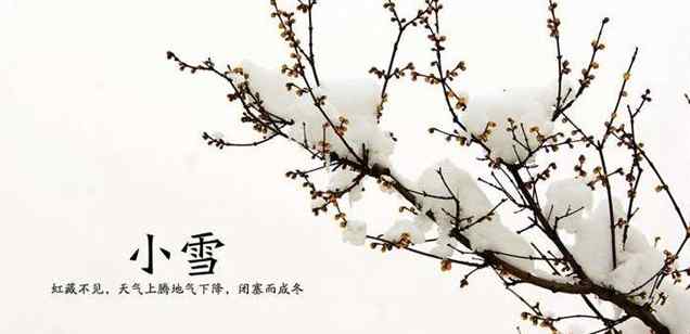 小雪節(jié)氣的詩(shī) 關(guān)于“小雪”節(jié)氣的古詩(shī)詞鑒賞