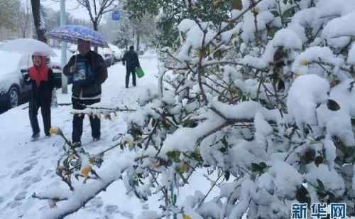 今天山東高速封閉了 高速路況實(shí)時(shí)查詢：山東多個(gè)高速收費(fèi)站因雪臨時(shí)封閉 高速封路最新消息