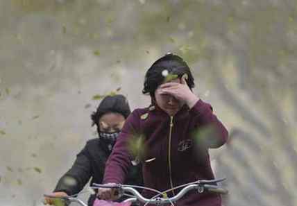 狹管效應 大風天氣應該注意什么 大風天五個注意事項帶你遠離危險