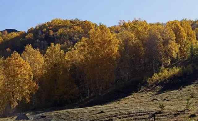 內(nèi)蒙古七星湖景區(qū)住宿 內(nèi)蒙古七星湖美麗風景圖片（建議收藏）