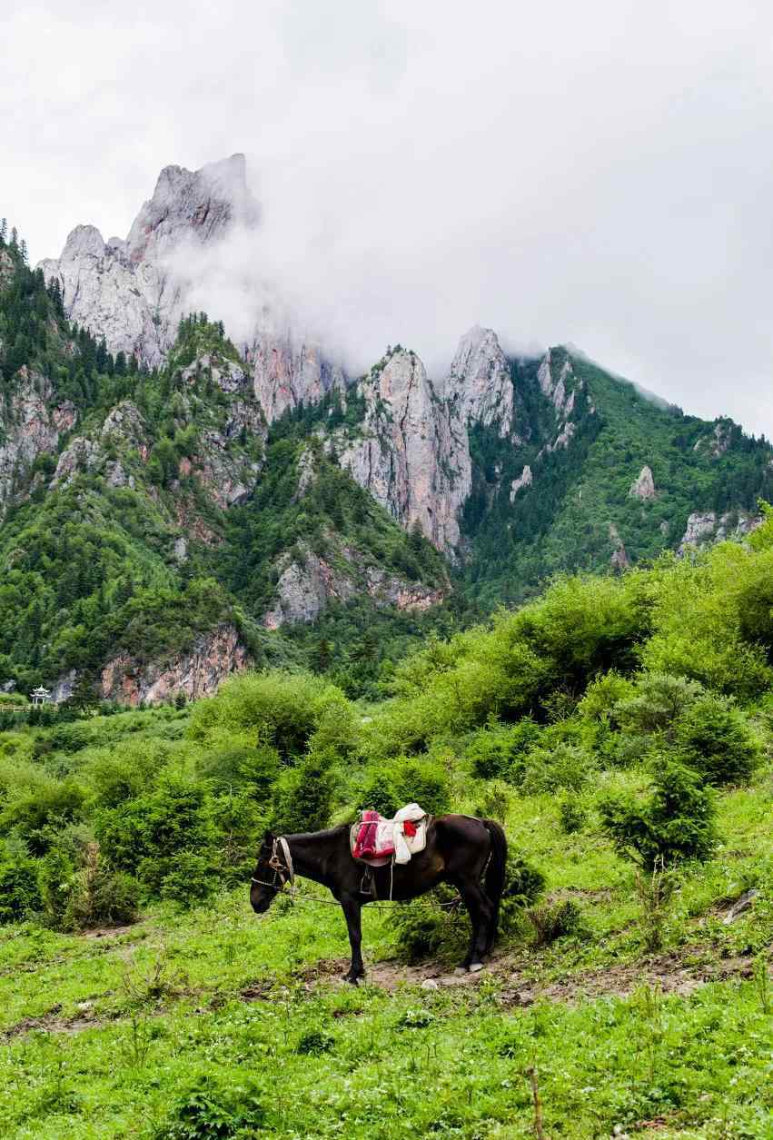 甘南吧 畢業(yè)旅行 | 來甘南吧，乘風破浪去，景區(qū)景點免費開放