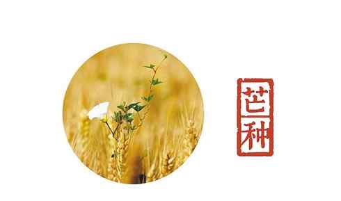 芒種是幾月幾號(hào) 2016年芒種是幾月幾號(hào)，是什么時(shí)候？