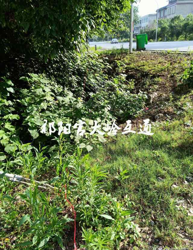 互通圖 衡永高速公路祁陽官大嶺互通圖集