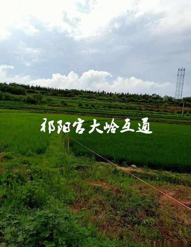 互通圖 衡永高速公路祁陽官大嶺互通圖集