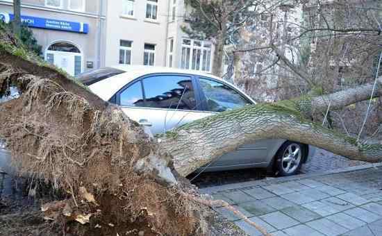 紐約臺(tái)風(fēng) 德國(guó)遭遇最高級(jí)颶風(fēng)襲擊 盤點(diǎn)史上十大威力大的颶風(fēng)