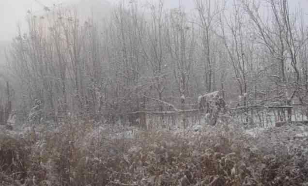 烏魯木齊下雪 烏魯木齊天氣：氣溫將起伏 周末南山可能下雪