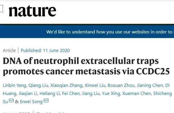 宋爾衛(wèi) 中山大學(xué)宋爾衛(wèi)等揭示中性粒細(xì)胞胞外捕獲物促進(jìn)癌癥轉(zhuǎn)移的機(jī)制