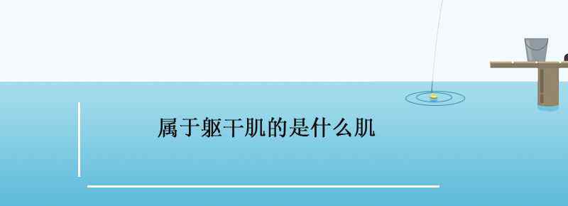 屬于軀干肌的是什么肌