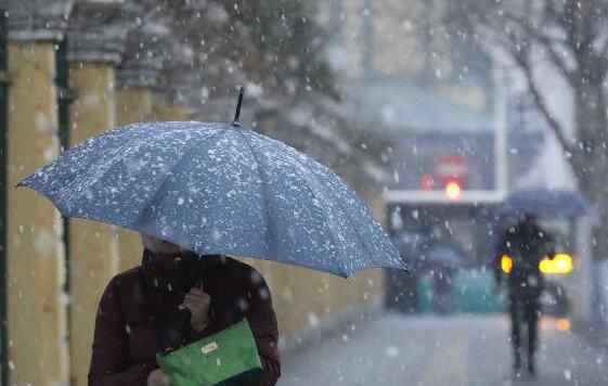 哈爾濱大雪似硬幣 罕見至極實在讓人驚愕