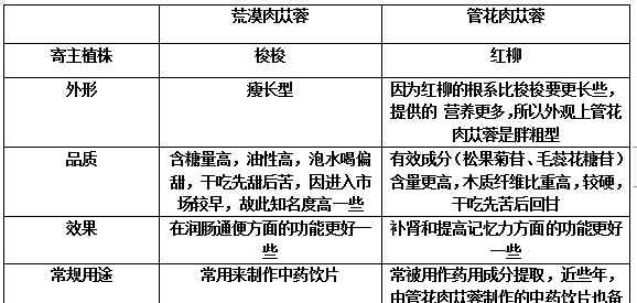 肉蓯蓉提取物 如何區(qū)別不同植物來源的肉蓯蓉提取物