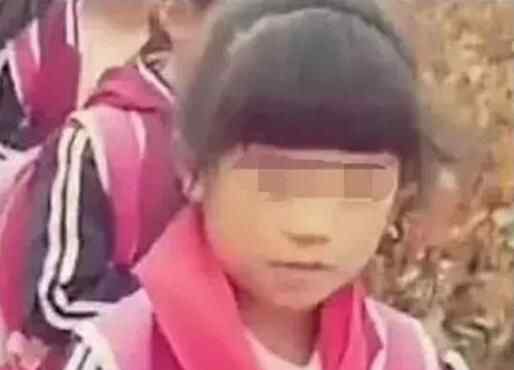 9歲女孩被強(qiáng)塞轎車拐走 山東臨沂人王美琪失蹤事件真相曝光