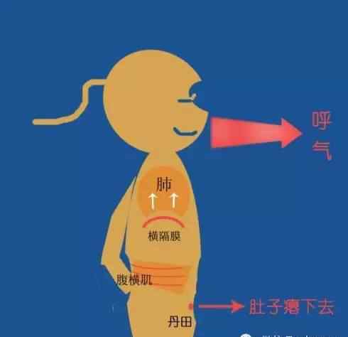 橫隔膜 【音樂(lè)百科】橫隔膜！